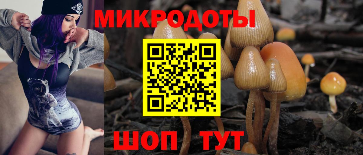 Псилоцибиновые грибы Psilocybe  наркота  Ростов Великий  Вход с VPN 